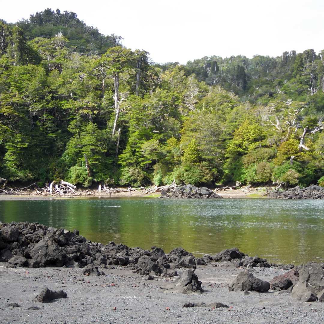 lago general pinto concha